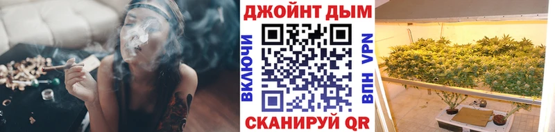 Канабис план  Городовиковск 